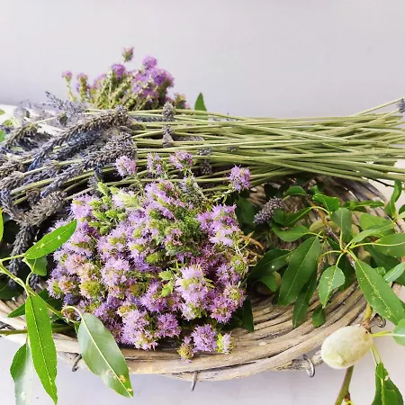 Athina's Stone House In * Kardhamili