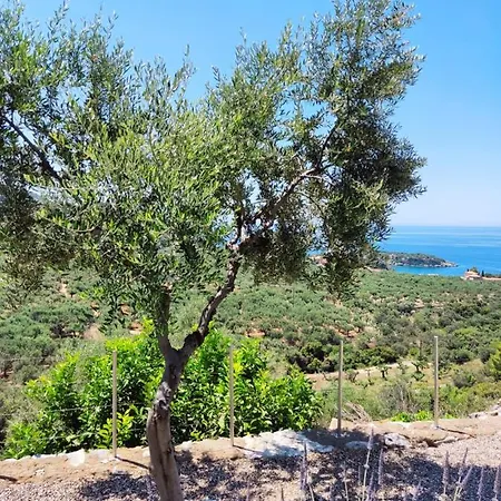 Athina's Stone House In