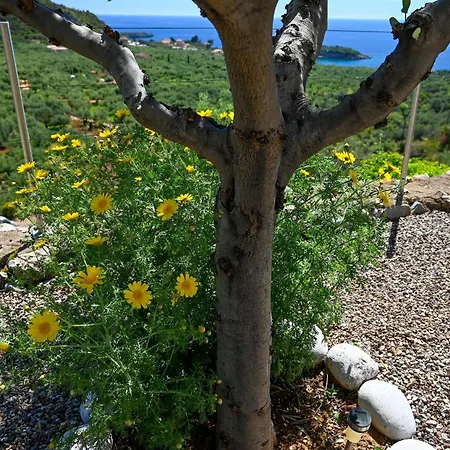 Villa Athina's Stone House In *