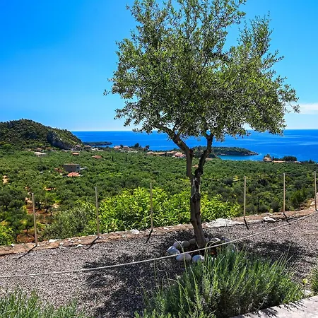 Athina's Stone House In Kardhamili