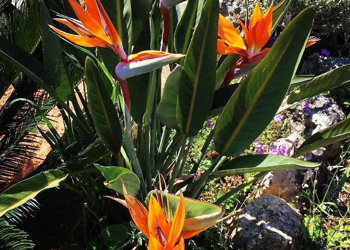 Athina's Stone House In