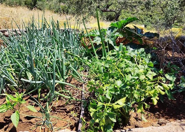 Villa Athina's Stone House In *