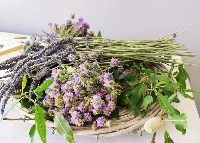 Athina's Stone House In * Kardamíli