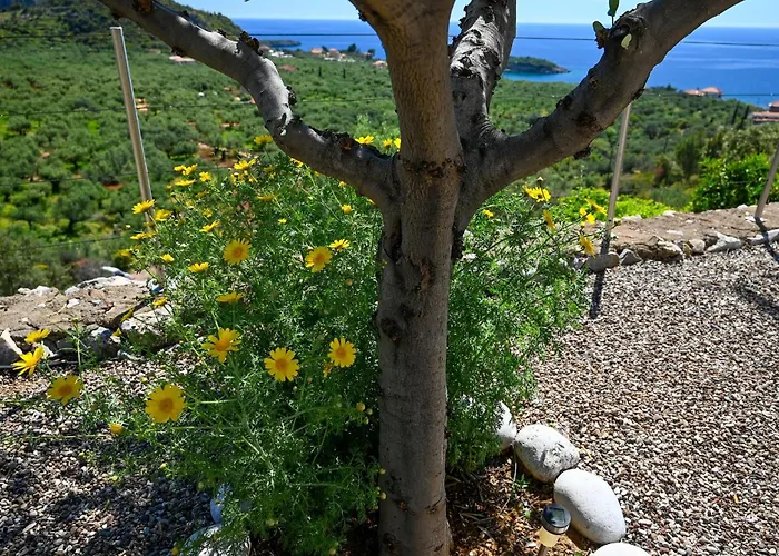 Villa Athina's Stone House In *