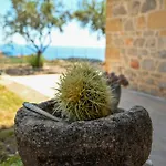Athina's Stone House In Villa