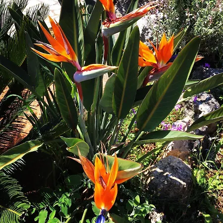 Athina's Stone House In