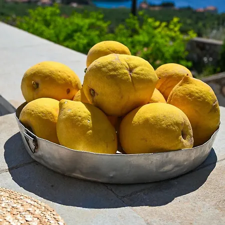 וילה Athina's Stone House In קרדמילי