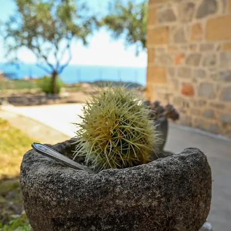 Athina's Stone House In וילה