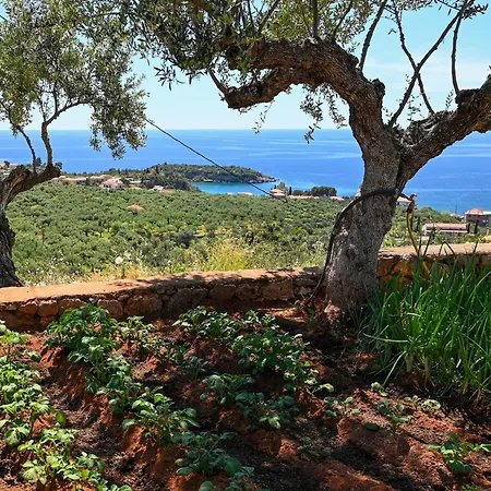 Athina's Stone House In * קרדמילי