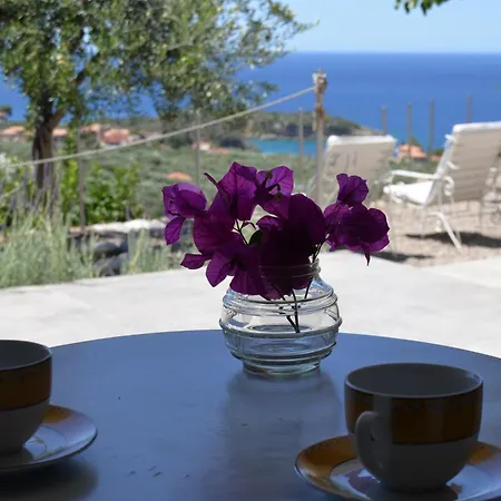 Villa Athina's Stone House In