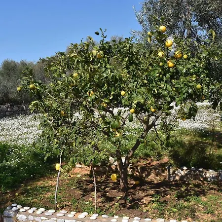 Athina's Stone House In Vila