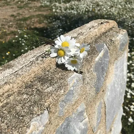 וילה Athina's Stone House In קרדמילי