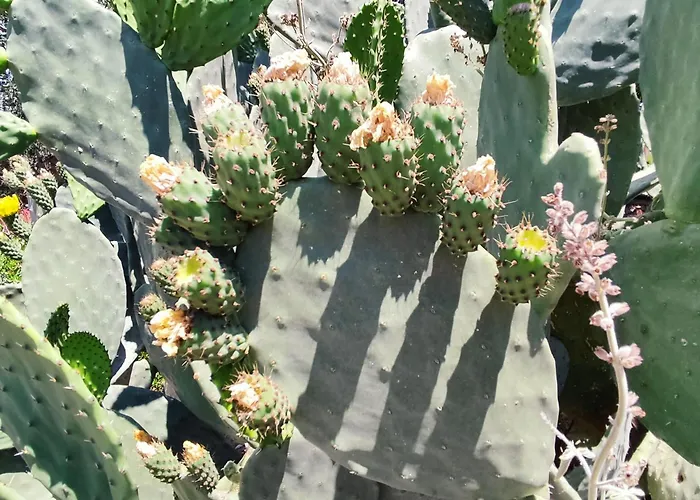 Villa Athina's Stone House In