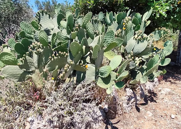 Athina's Stone House In * Kardhamili