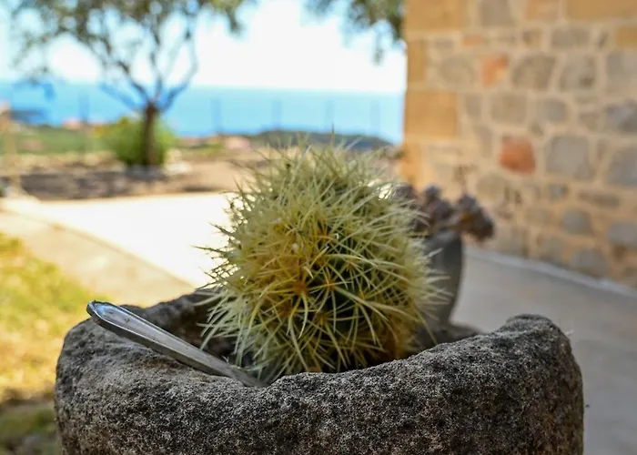 Athina's Stone House In Villa