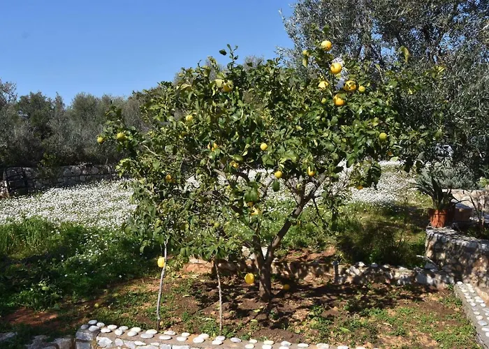 Athina's Stone House In Villa